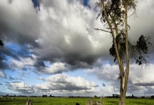 开云-Scout回归赛场，回归赛场首场状态亮眼，勇士观众沸腾！的简单介绍