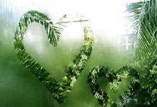 开云-Scout回归赛场，回归赛场首场状态亮眼，勇士观众沸腾！的简单介绍